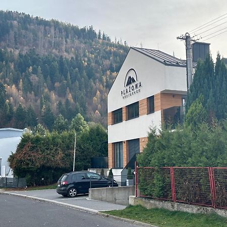 Plazowa Gray Apartament Szczyrk Kültér fotó